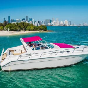 50ft Sea Ray “The Last Fling” | Bachelorette Pink Miami Yacht Charter 💍 de $925