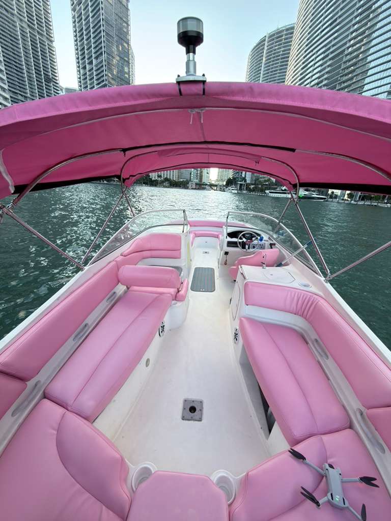 26ft Pink Bayliner – Stylish & Fun Private Boat Experience 💖| Miami Yacht Charter 5 %Miami Yacht Rentals%