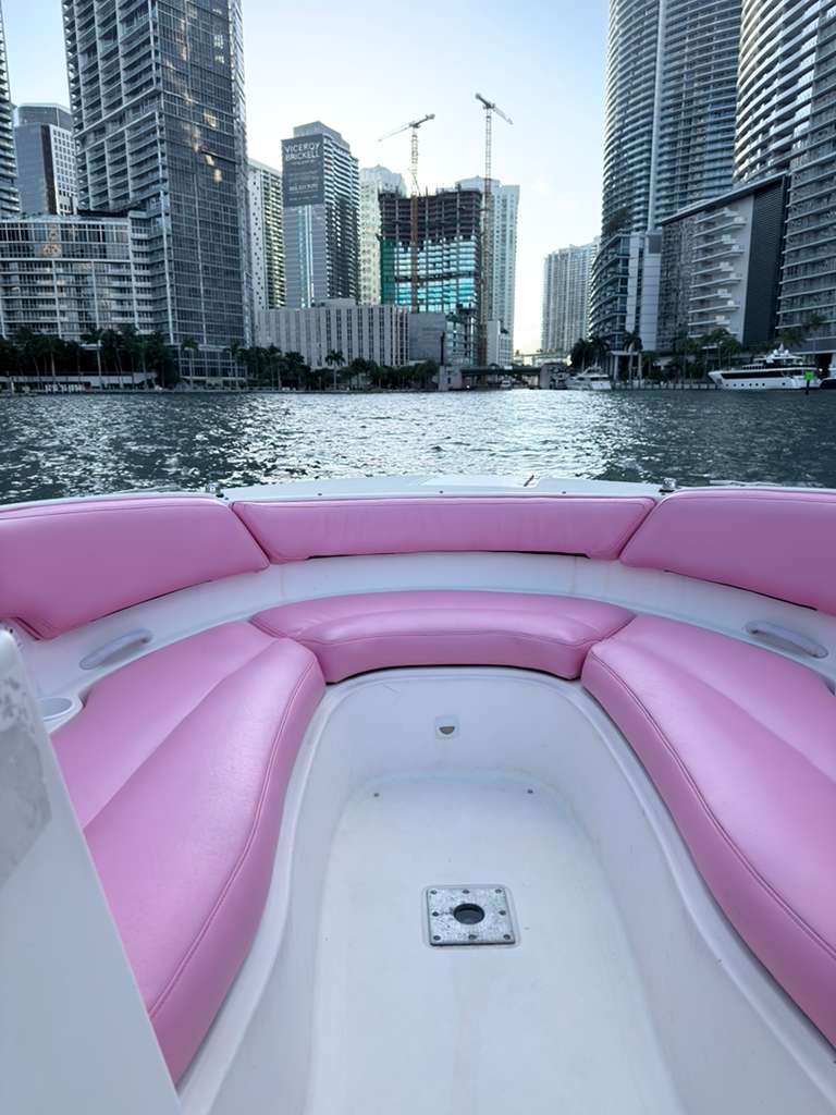 26ft Pink Bayliner – Stylish & Fun Private Boat Experience 💖| Miami Yacht Charter 6 %Miami Yacht Rentals%