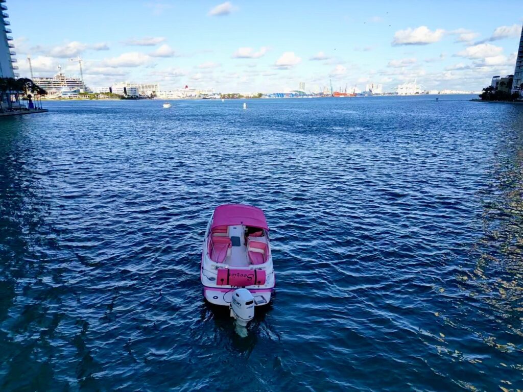 26ft Pink Bayliner – Stylish & Fun Private Boat Experience 💖| Miami Yacht Charter 1 %Miami Yacht Rentals%