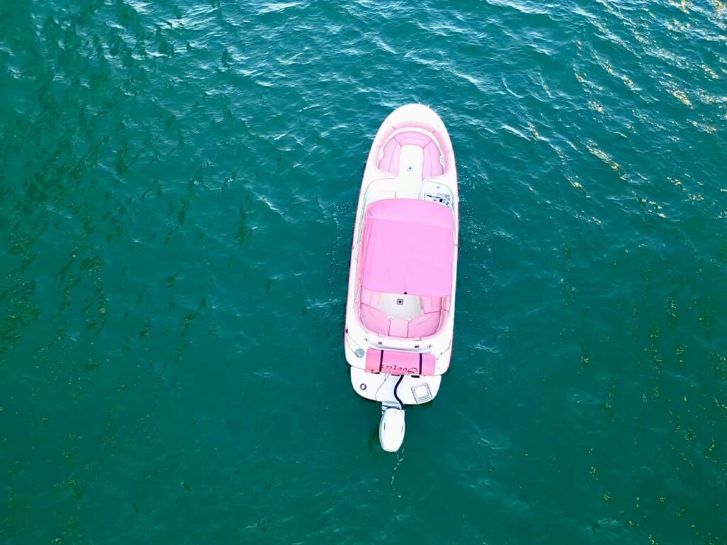 26ft Pink Bayliner – Stylish & Fun Private Boat Experience 💖| Miami Yacht Charter 4 %Miami Yacht Rentals%