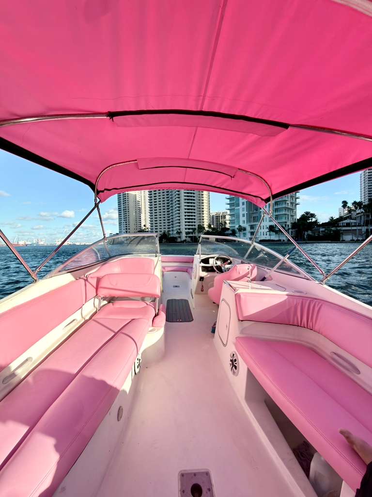 26ft Pink Bayliner – Stylish & Fun Private Boat Experience 💖| Miami Yacht Charter 7 %Miami Yacht Rentals%