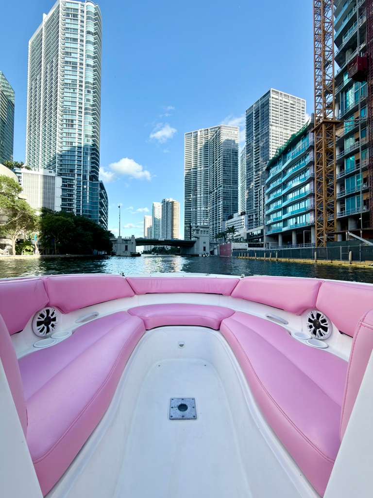 26ft Pink Bayliner – Stylish & Fun Private Boat Experience 💖| Miami Yacht Charter 8 %Miami Yacht Rentals%