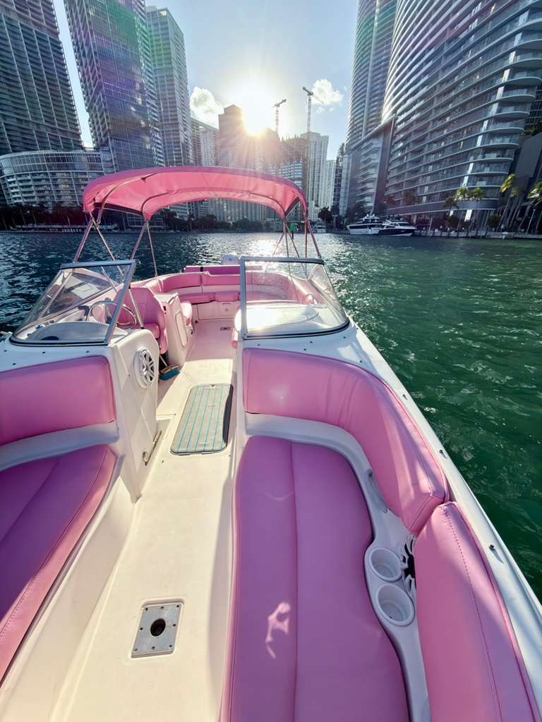 26ft Pink Bayliner – Stylish & Fun Private Boat Experience 💖| Miami Yacht Charter 12 %Miami Yacht Rentals%