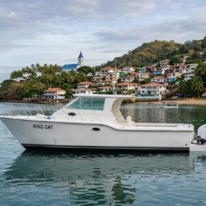 37ft Baja Catamaran Rental Panama | Private Island Adventures| From $1,100
