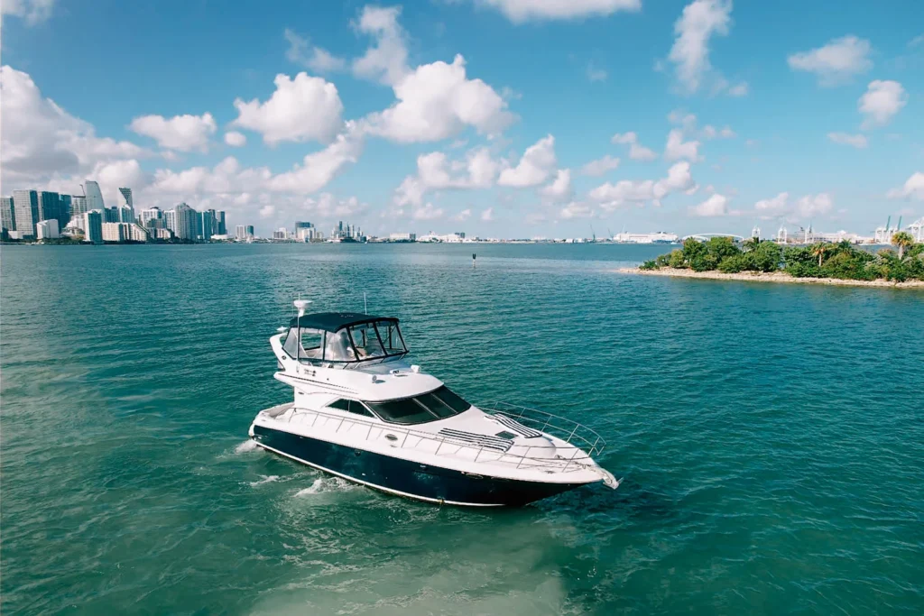 Party