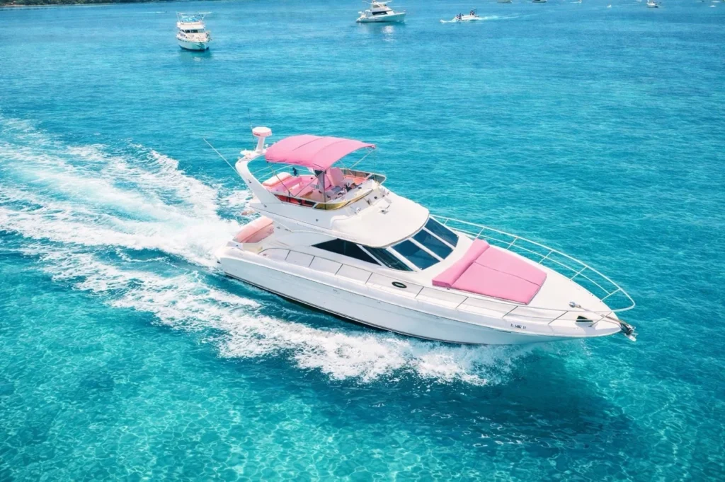 Horizon Pink